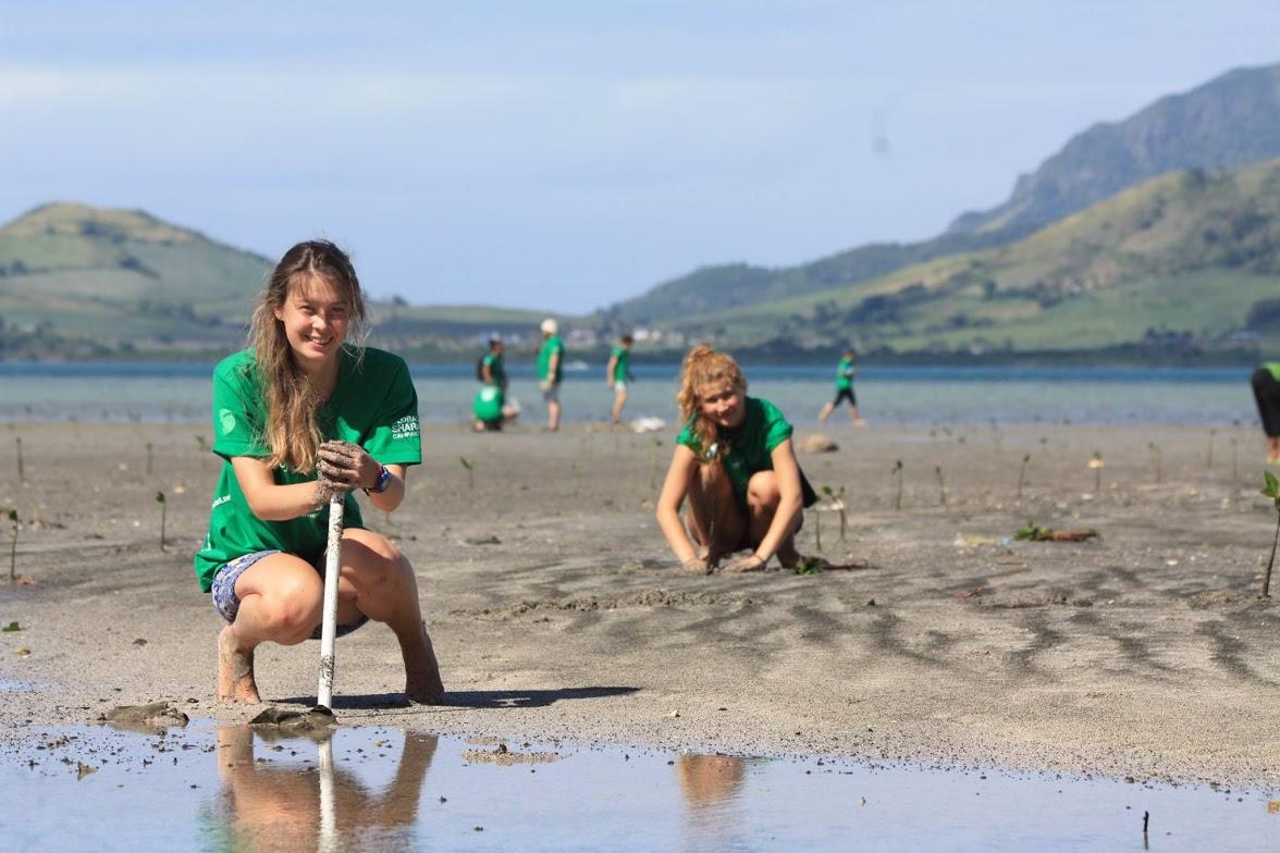 Volunteers planting mangroves as part of their shark conservation volunteering in Fiji with Projects Abroad. Volunteers are pictured planting mangroves as part of their shark conservation volunteering in Fiji with Projects Abroad.